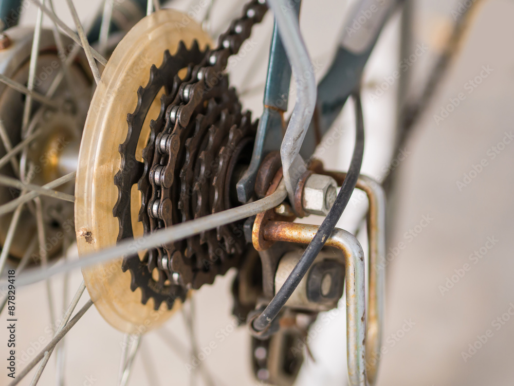 Fototapeta premium Bike gear and chain with rust.