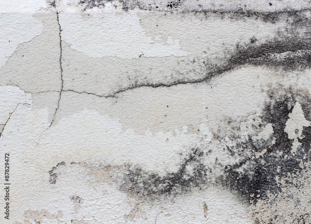 Obraz premium white concrete wall texture