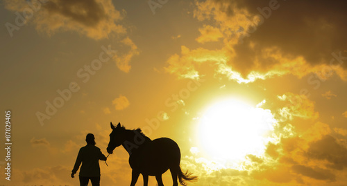 Fototapeta Naklejka Na Ścianę i Meble -  Pferd wird in den Sonnenuntergang geführt