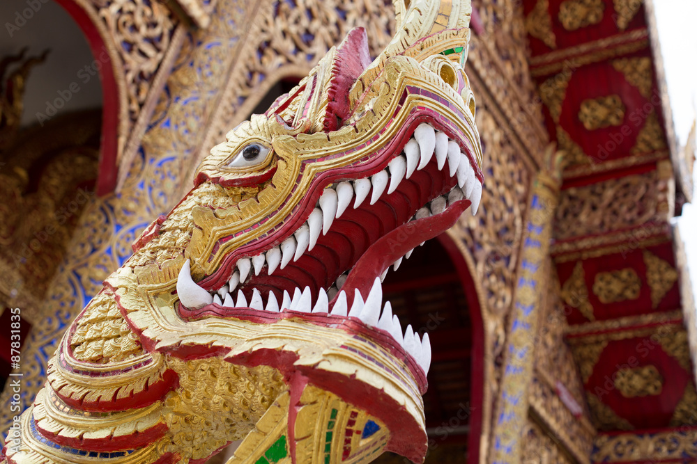 Fototapeta premium Drache vor Tempel