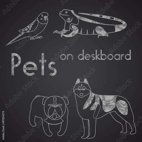Different pets drawn on chalkboard. Part 1