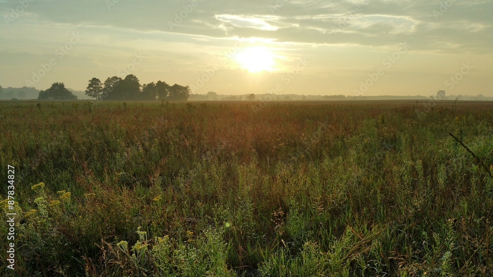 Obraz premium Zachód słońca