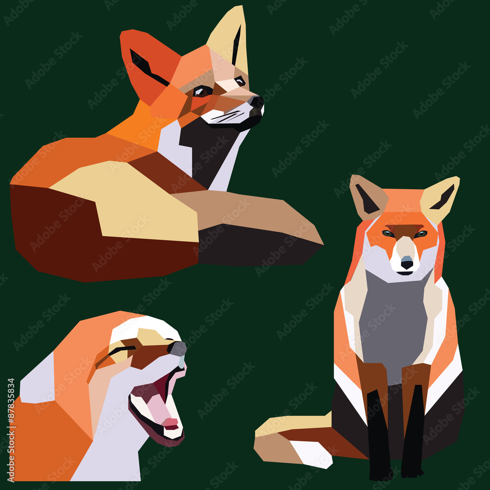 fox set low poly design colorful vector illustration isolated on green ...