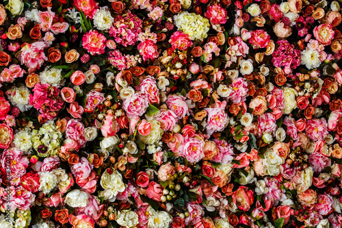 Closeup image of beautiful flowers wall background 