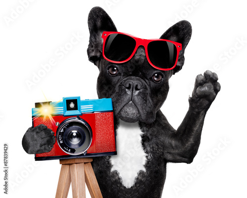 photographer dog camera © Javier brosch