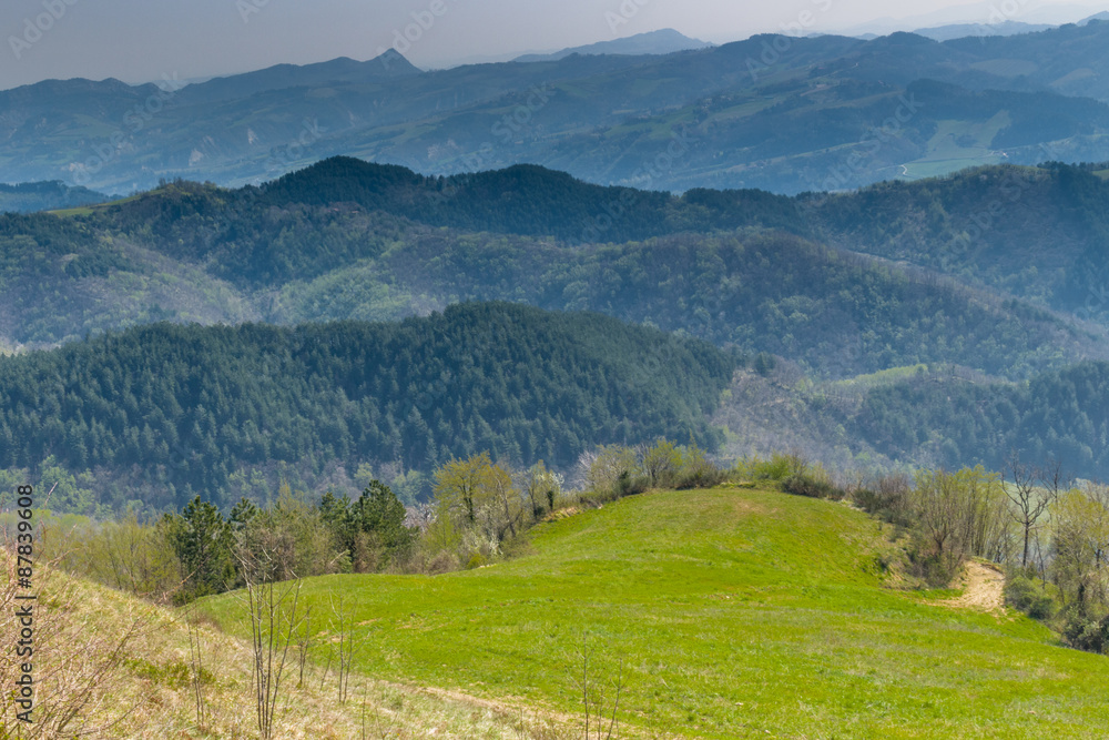 Obraz premium Green farmland on rolling hills