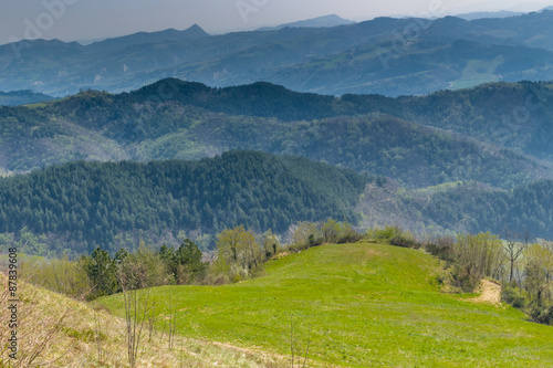 Green farmland on rolling hills