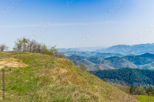 Green farmland on rolling hills © Vivida Photo PC