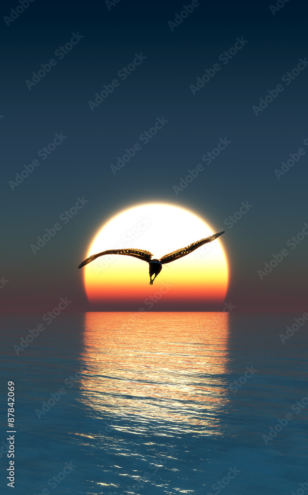 Naklejka premium Eagle