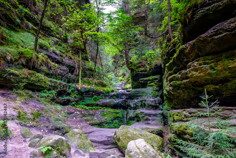 In der Sächsische Schweiz wandern In der Sächsische Schweiz wandern