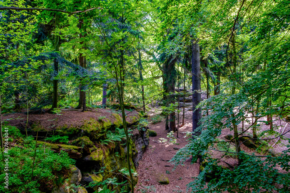 Landschaft der Sächsischen Schweiz
Landschaft der Sächsischen Schweiz