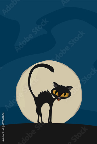 Cat on Moon Background