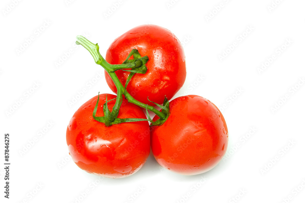 tomatoes bunch isolated on white background tomatoes bunch isolated on white background