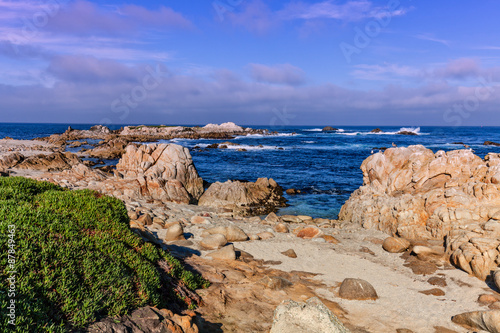 California Coast Landscape