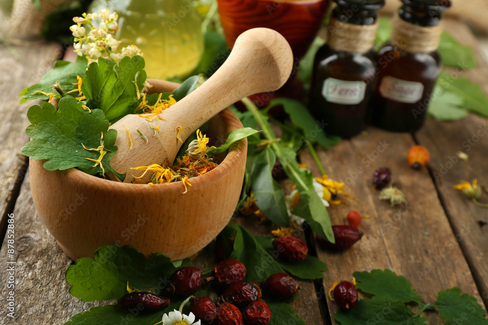 Obraz premium Herbs, berries and flowers with mortar, on wooden table background