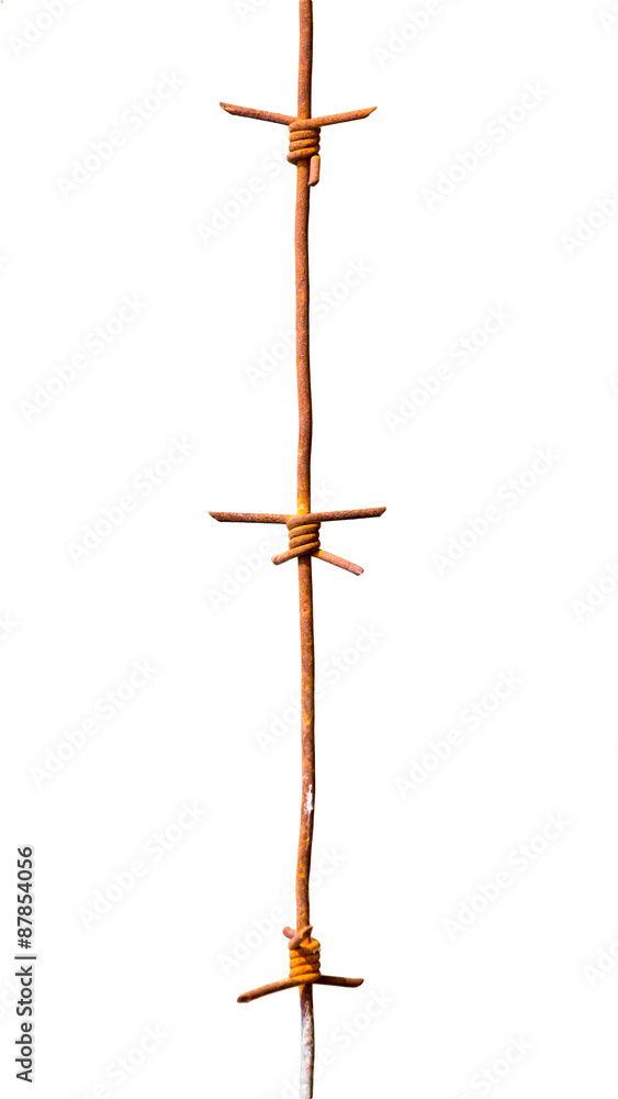 barbed wire on a white background barbed wire on a white background