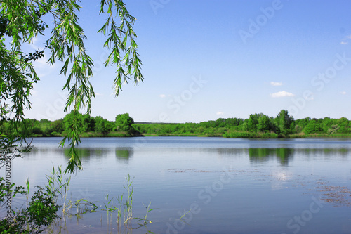 Forest lake landscape