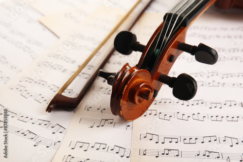 Classical violin on music sheets background © Africa Studio