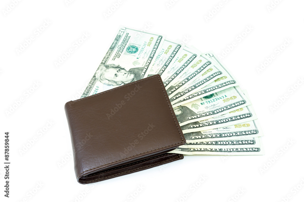 dollars money in bag on white background dollars money in bag on white background