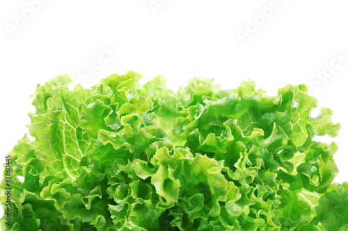 Fresh lettuce isolated on white