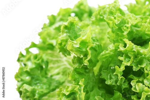 Fresh lettuce, closeup