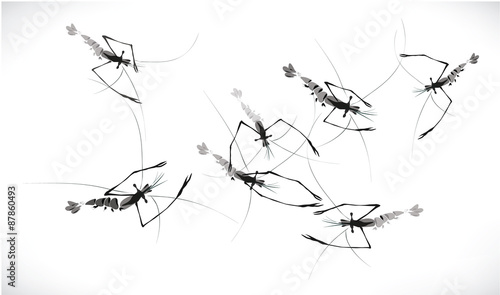 vector shrimp swim ink painting