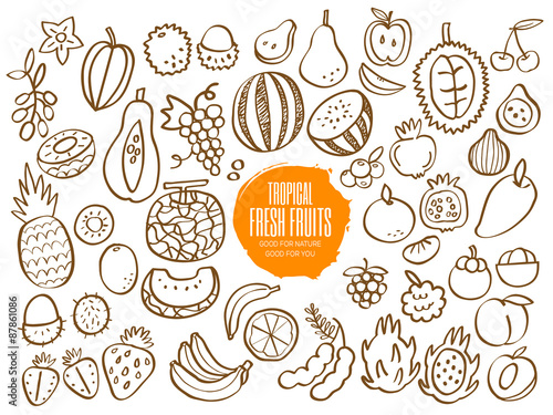 Set of tropical fruit doodles