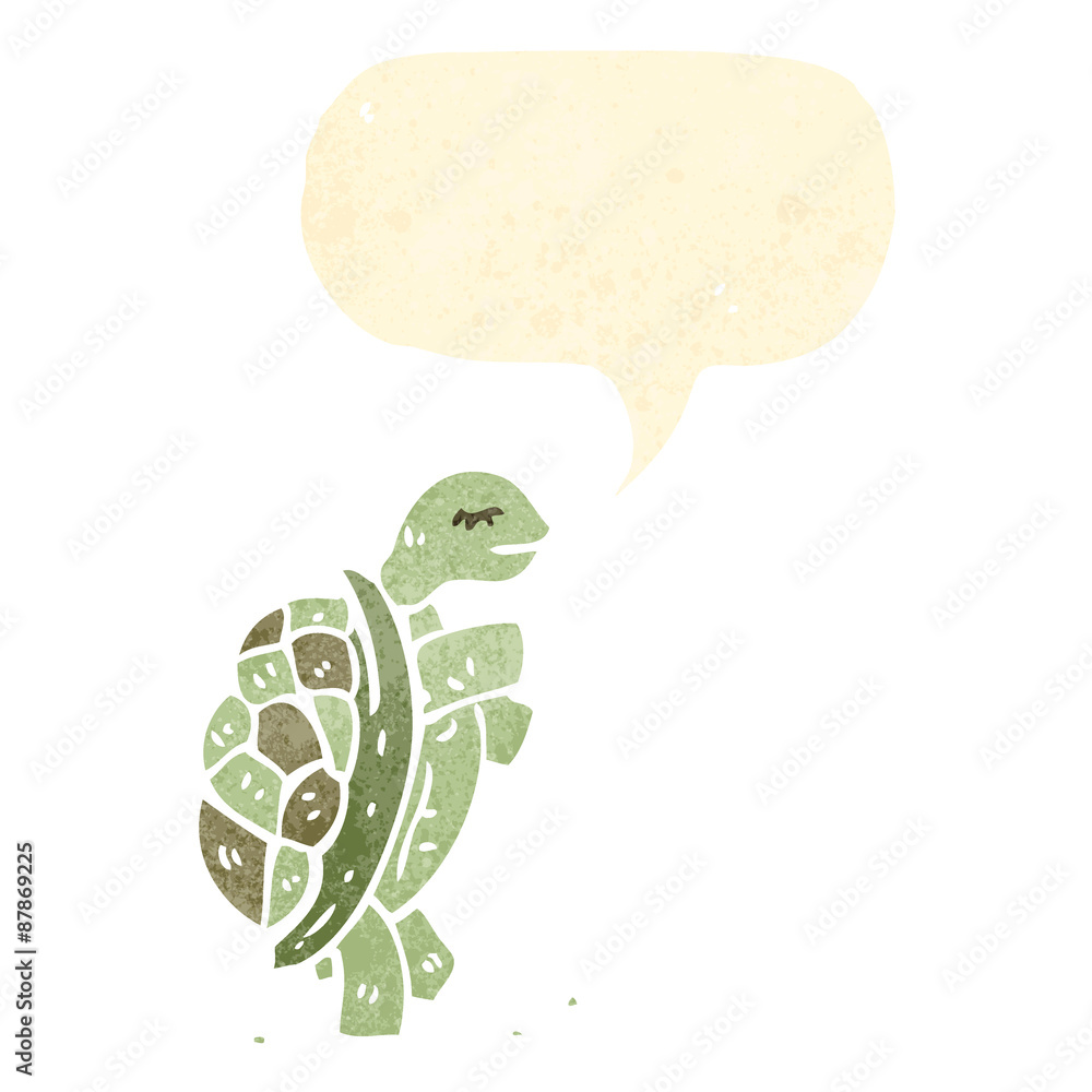 cartoon tortoise cartoon tortoise