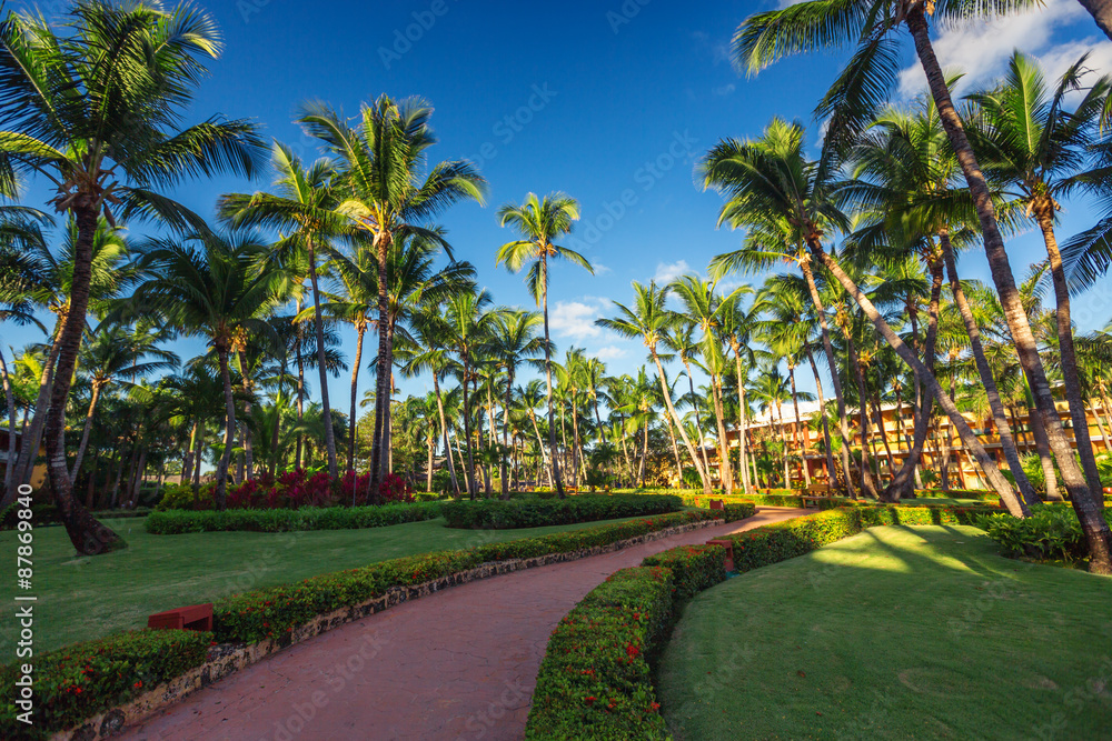 Pathway and tropical garden in beach resort, Punta Cana