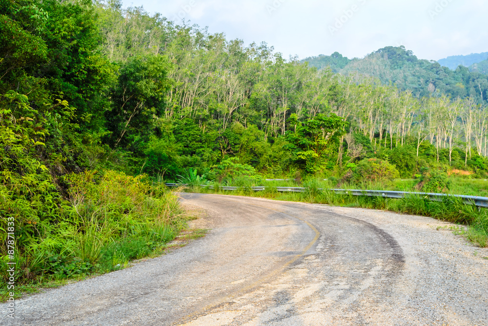 asphalt road with forest and mountain asphalt road with forest and mountain