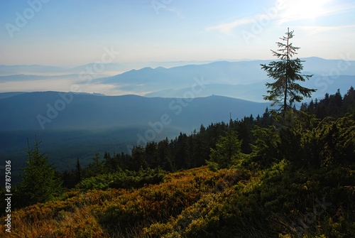 Fototapeta Naklejka Na Ścianę i Meble -  Beautiful sunrise in the Carpathians mountains. Ukraine.