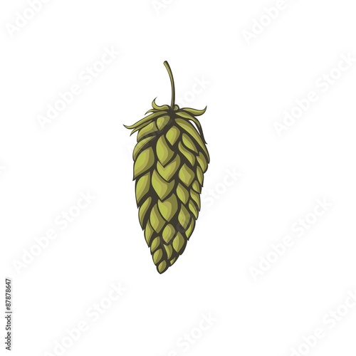Hops vector visual graphic icon or logo, ideal for beer, stout, ale, lager, bitter labels & packaging etc. Hop is a herb plant which is used in the brewery of beer. Pixel perfect illustration.