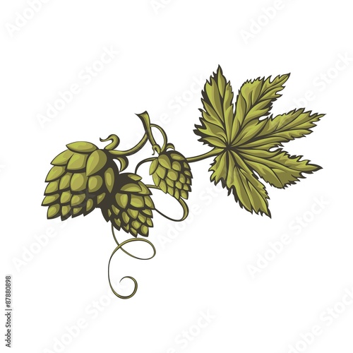 Stylized branch of green beer hops.