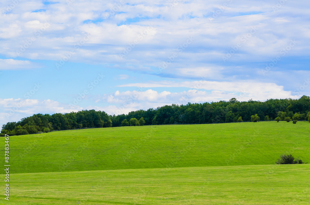 beauty green summer rural landscape view on blue sky backgrounds