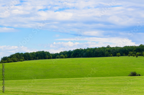 beauty green summer rural landscape view on blue sky backgrounds © Mikhail Ulyannikov