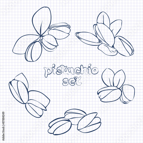 pistachio