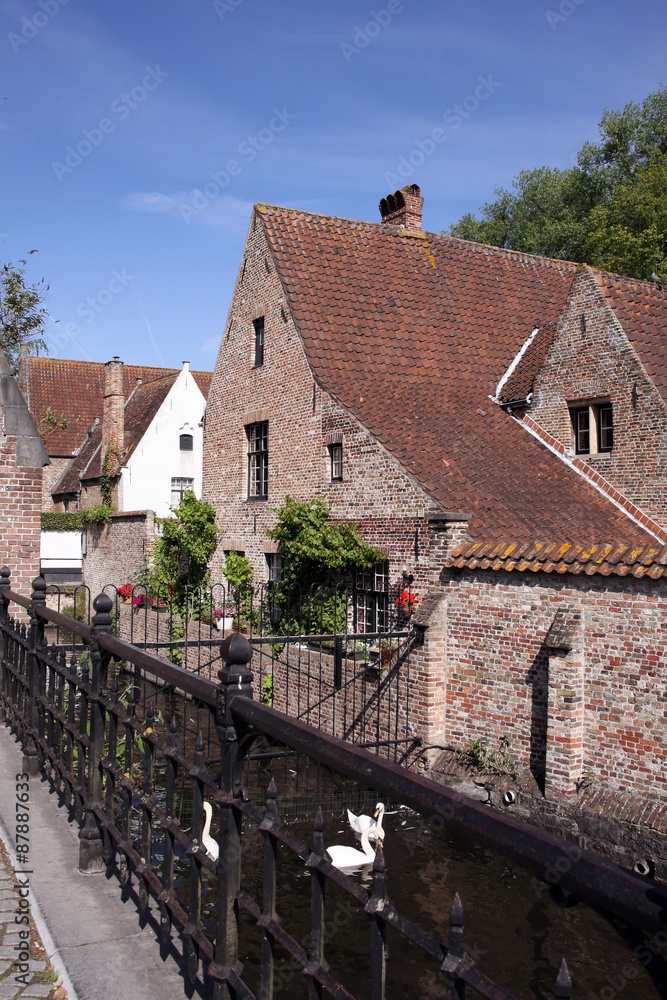 schwäne am beginenhof schwäne am beginenhof