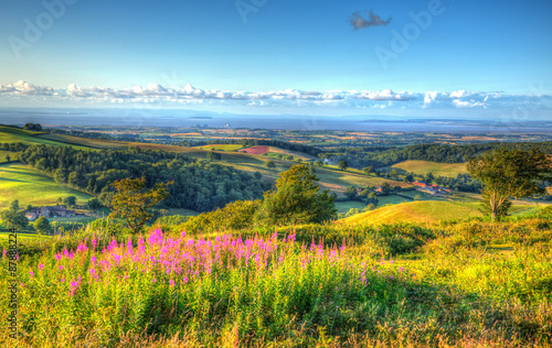 Canvas Print Somerset countryside to Hinkley Point from Quantocks in HDR