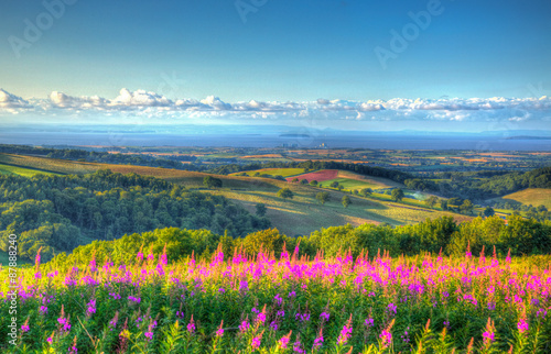 Canvas Print Quantock Hills Somerset countryside to Hinkley Point and Bristol Channel HDR