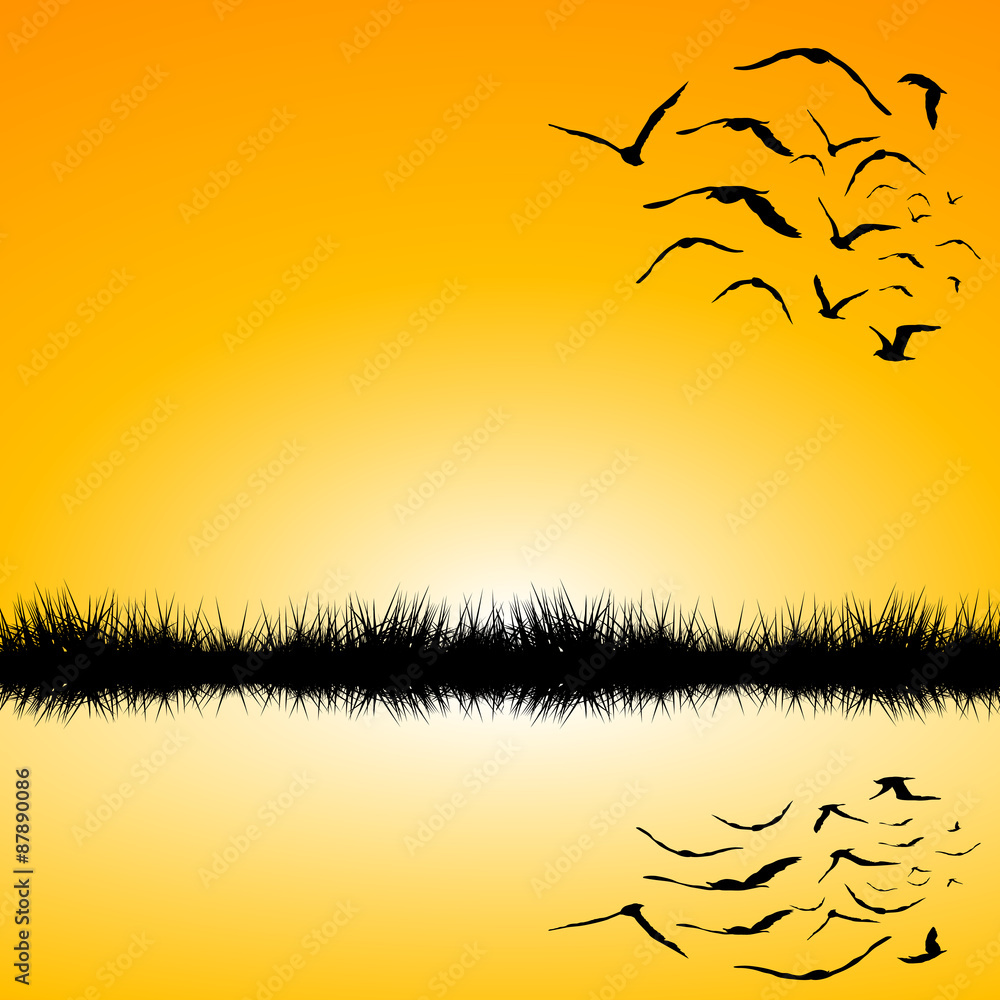 Obraz premium Landscape with a lake and birds flying