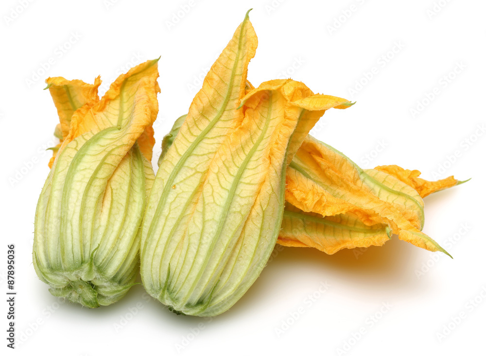 Squash Blossoms Squash Blossoms