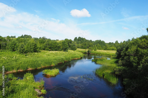 Fototapeta Naklejka Na Ścianę i Meble -  river in summer