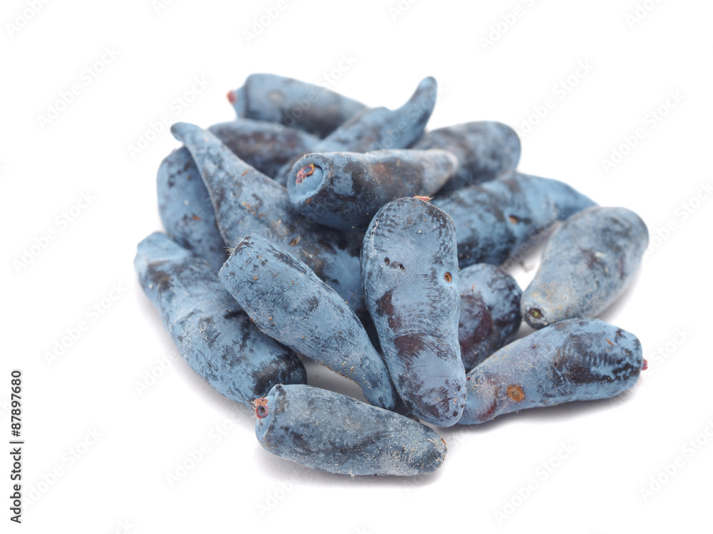 berries of honeysuckle isolated on white background berries of honeysuckle isolated on white background