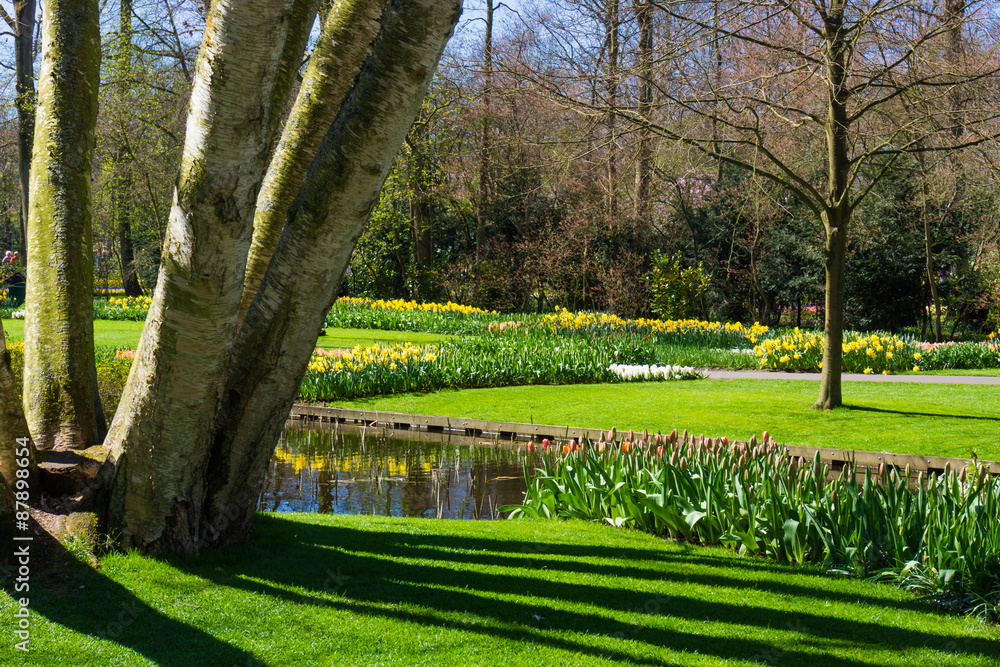Beautiful Garden. Garden landscape. landscape design Beautiful Garden. Garden landscape. landscape design