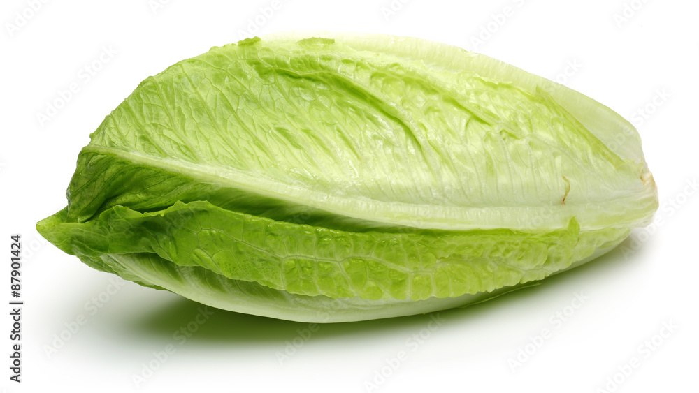 Lettuce Lettuce