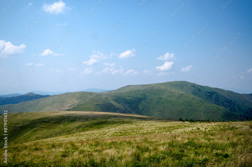 Carpathian mountains summer landscape  with green sunny hills wi