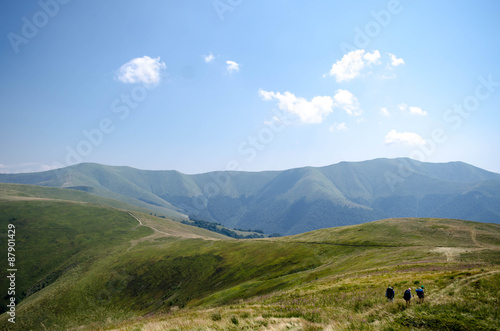 Carpathian mountains summer landscape with green sunny hills wi