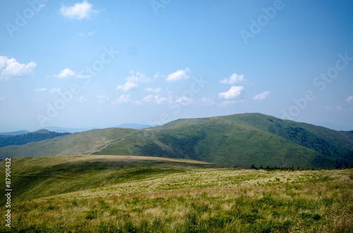 Carpathian mountains summer landscape with green sunny hills wi