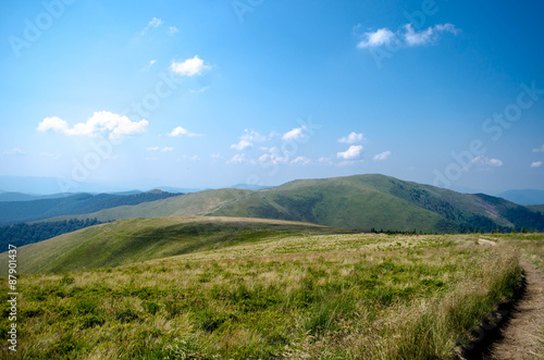 Carpathian mountains summer landscape with green sunny hills wi