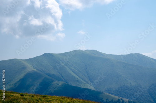 Carpathian mountains summer landscape  with green sunny hills wi © dima4to